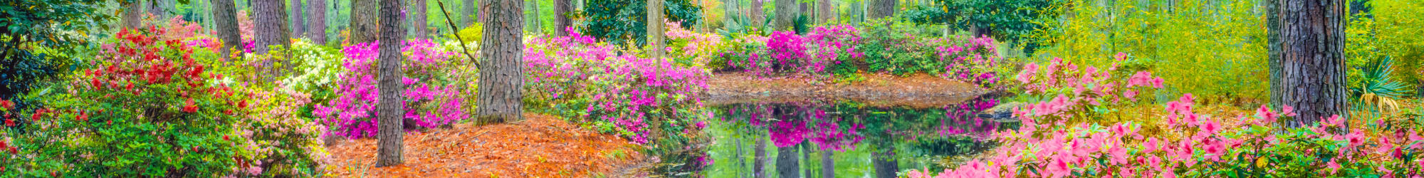 Schedule a tour to view our apartments at Berkshire Fort Mill in Fort Mill, South Carolina