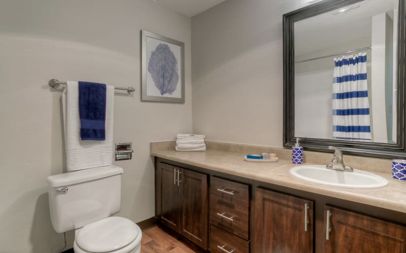 Spacious bathroom at Newport Crossing Apartments in Newcastle, Washington