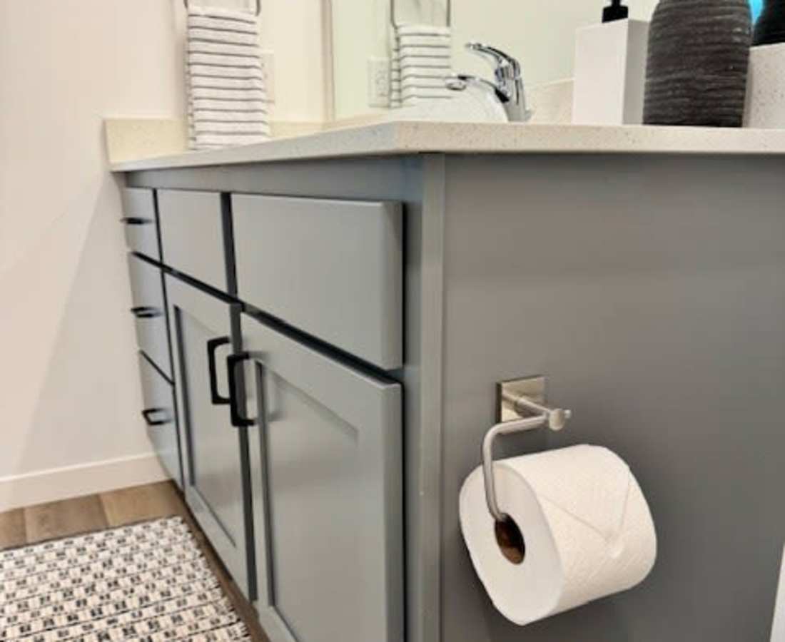 Gray bathroom cabinet with paper towel holder at Pritchard Park Place in Racine, Wisconsin