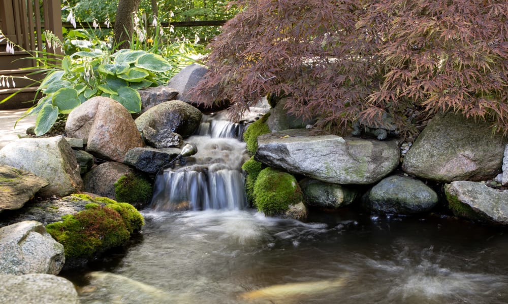 Small pond in the wooded area outside of Lakeshore Woods in Fort Gratiot, Michigan