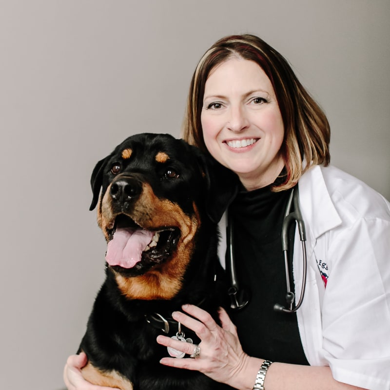 Jennifer Park, DVM at Tonawanda Veterinary Clinic