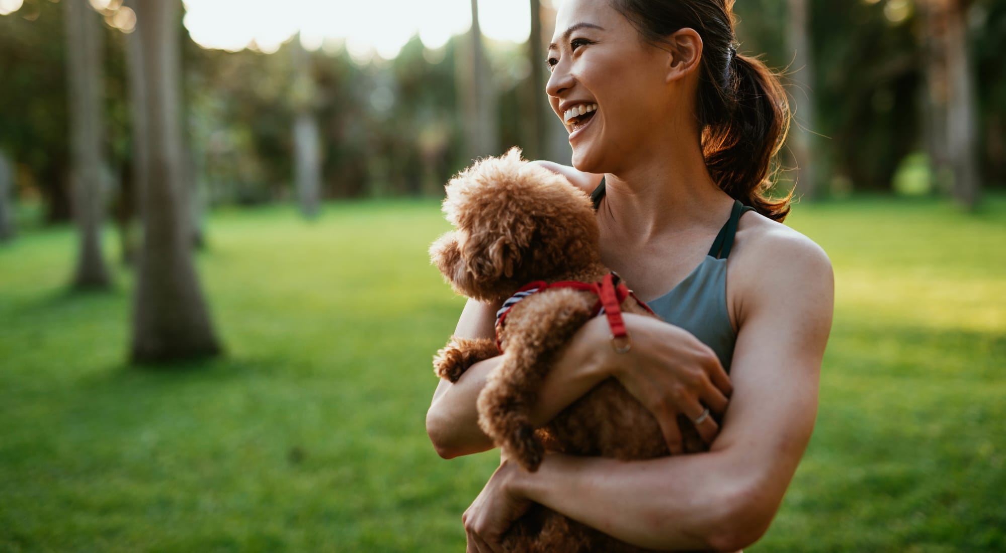 Pet-friendly apartments at Wilson Plaza in Columbus, Ohio