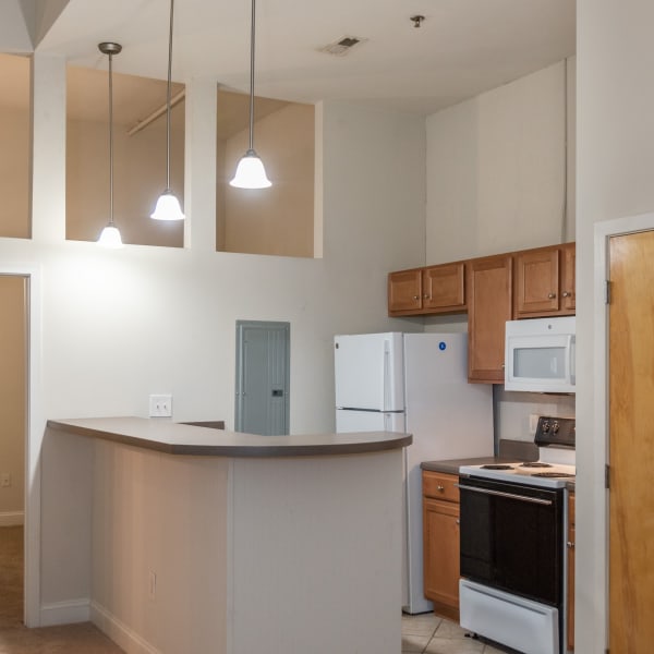Apartment with high ceilings at The Collection at American Tobacco Center, Richmond, Virginia