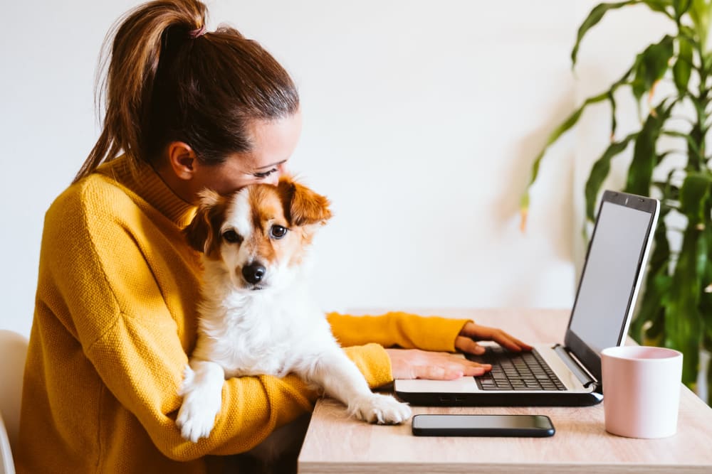 Resident working on her computer with her dog on her lap at Oaks Hackberry Creek in Las Colinas, Texas