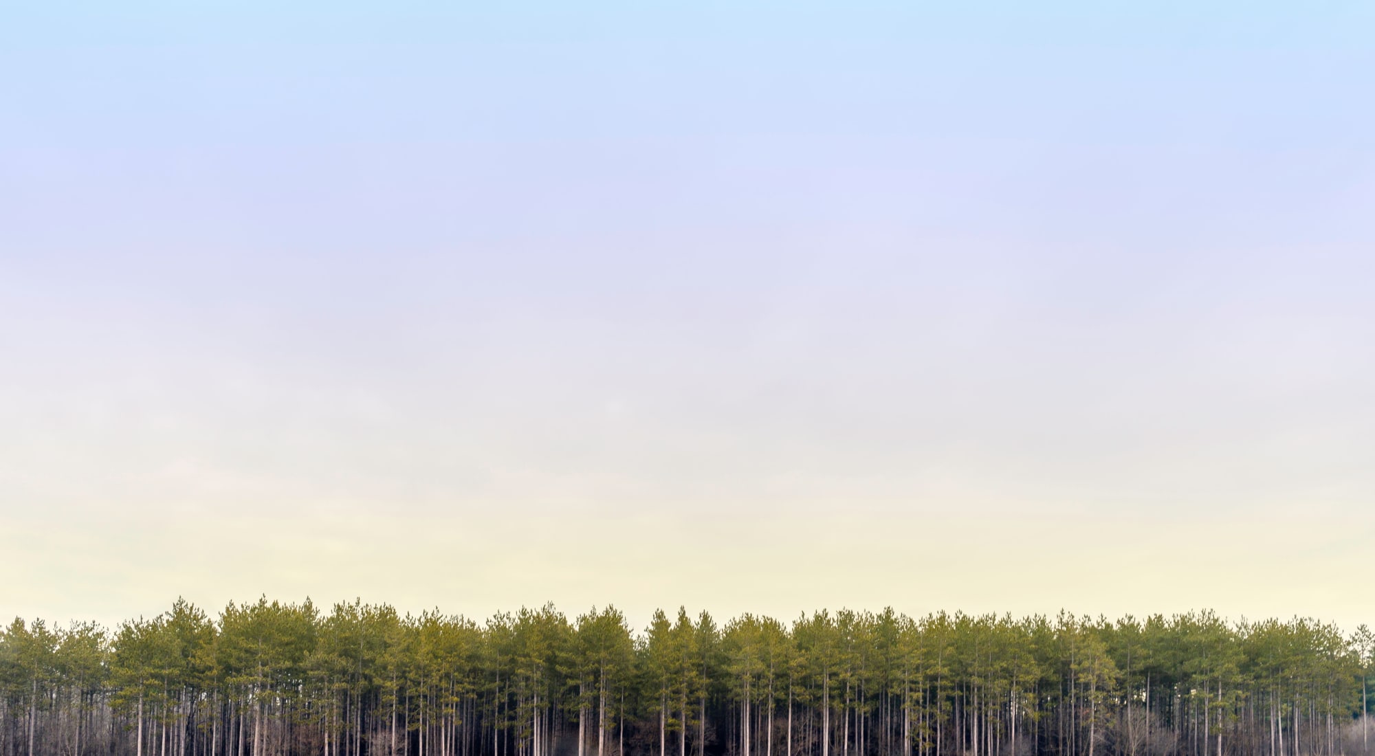 Storage Units Bangor Maine Dandk Organizer