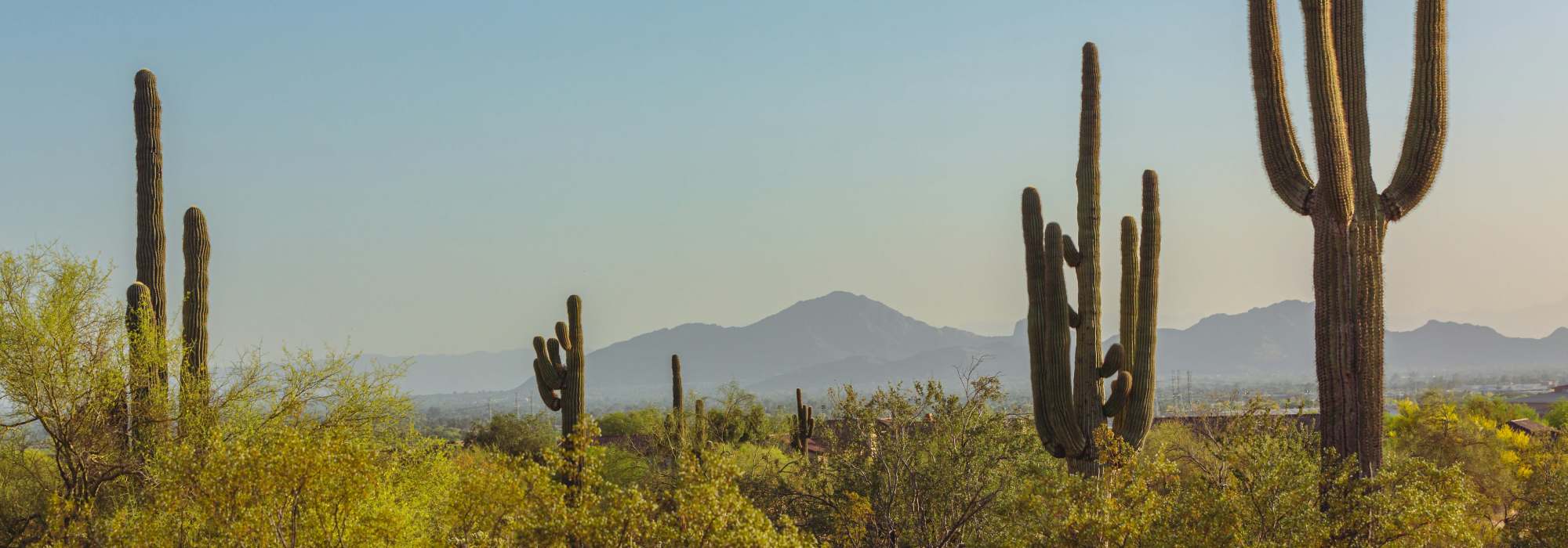 FAQ at Calista in Scottsdale, Arizona