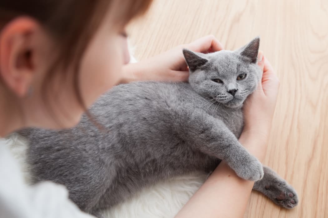 Resident playing with her lovely cat at Watercourse Apartments in Graham, North Carolina