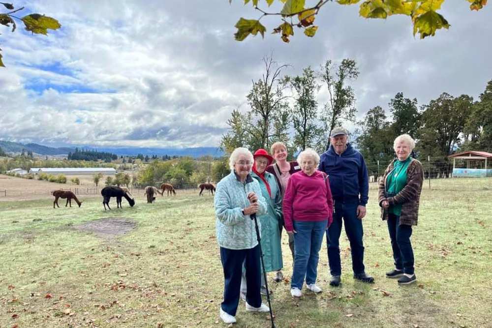 Elderly people roaming outside with alpacas in the background at Evergreen Senior Living in Eugene, Oregon. 