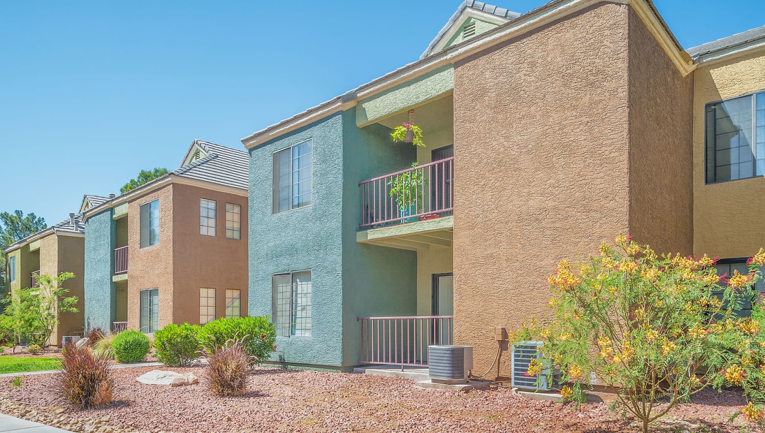 Professionally maintained desert landscaping outside resident buildings at Shelter Cove Apartments in Las Vegas, Nevada