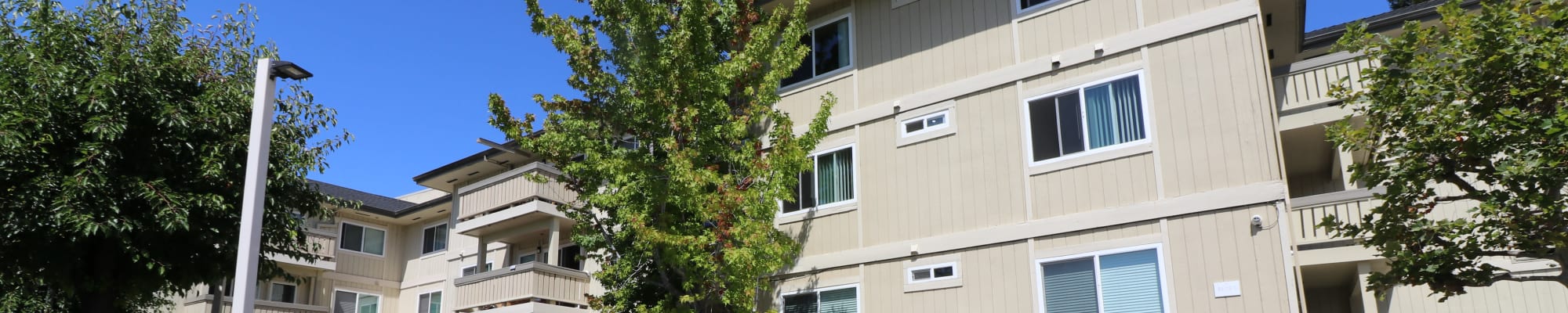 Neighborhood at Summerhill Terrace Apartment Homes in San Leandro, California