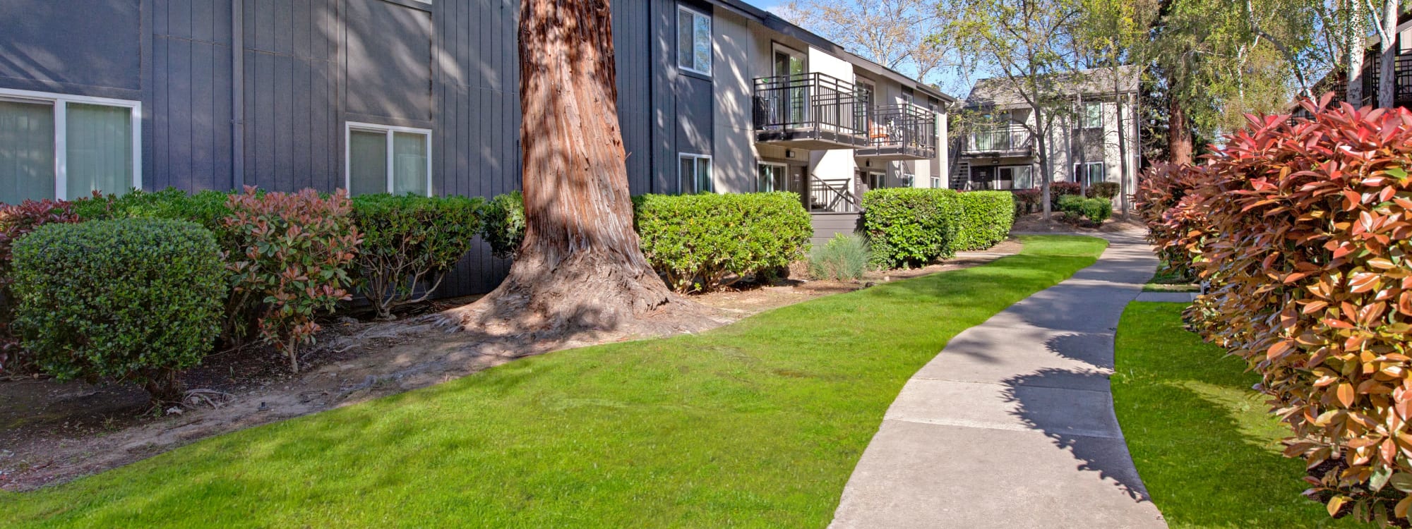 The Archer's pet policy in Sacramento, California