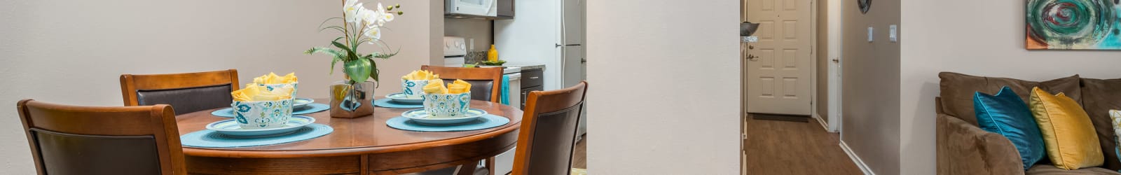 Pet friendly at The Springs of Indian Creek in Carrollton, Texas