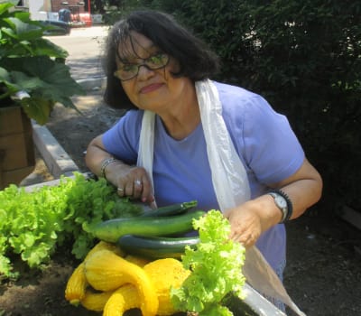 Happy senior woman picking crops at Eastern Star Masonic Retirement Campus in Denver, CO