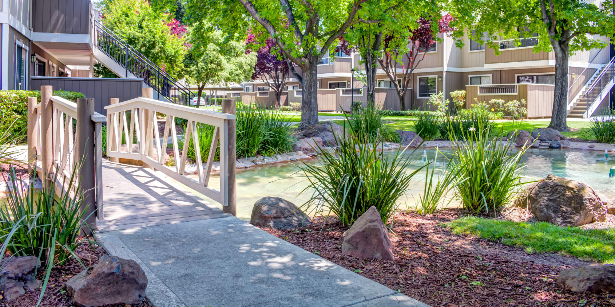 Apartments at Sofi Berryessa in San Jose, California