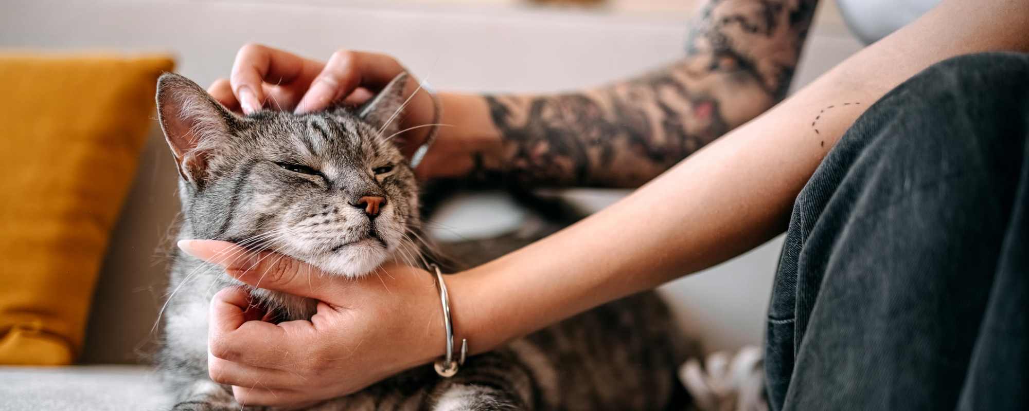 Pet Friendly | Mountain Brook Townhomes in Nashville, Tennessee