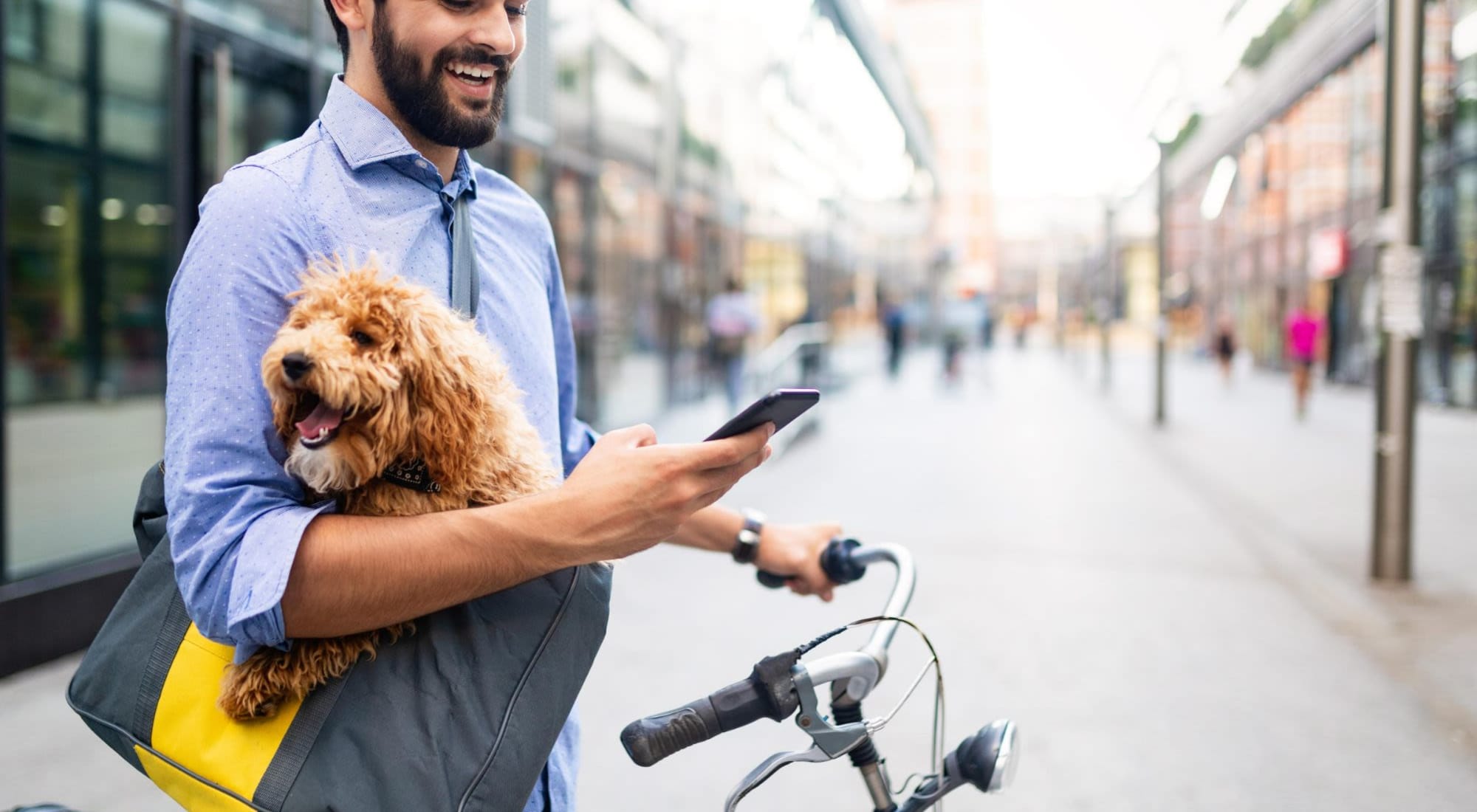 Pet Friendly | Indigo in San Antonio, Texas