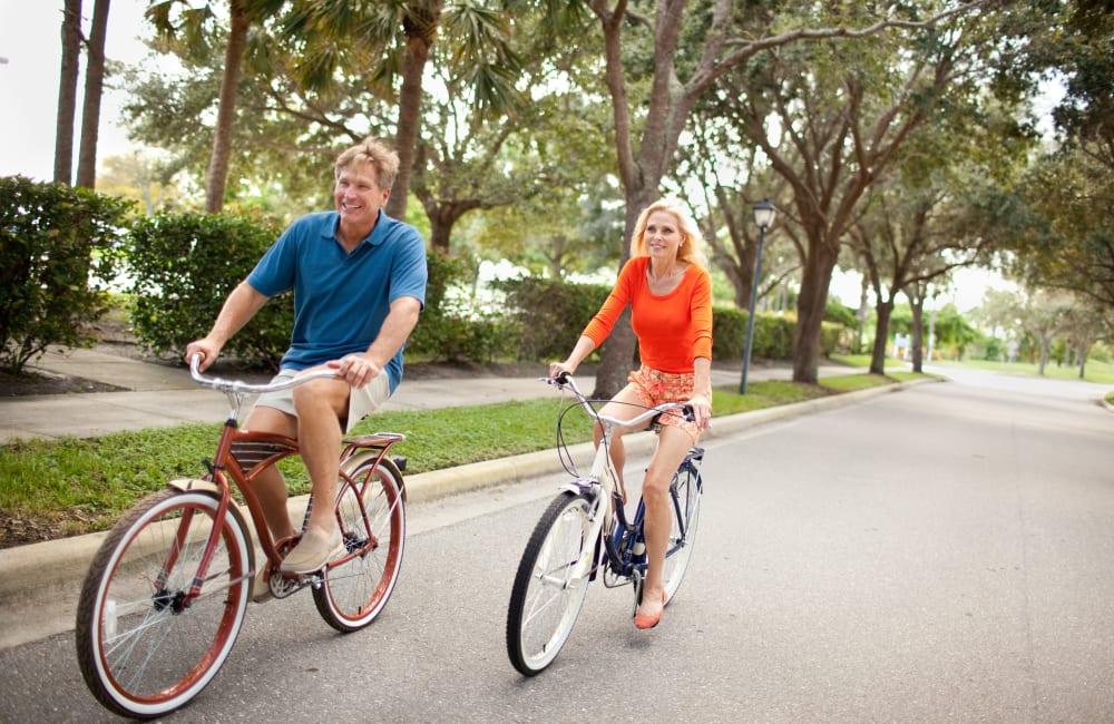 Apartments at The Columns at Cypress Point in Wesley Chapel, Florida