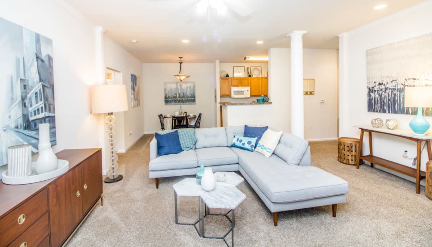 model apartment living room at Oakbrook Village in Summerville, South Carolina