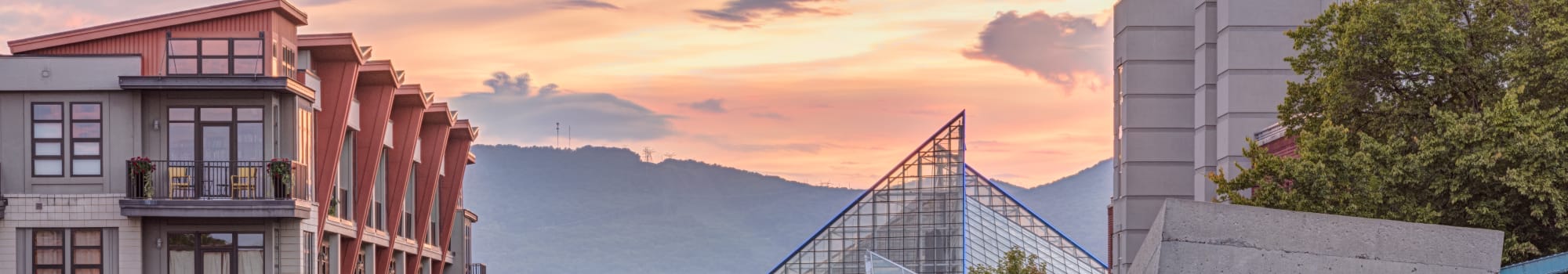 Privacy policy at Callio Properties in Chattanooga, Tennessee