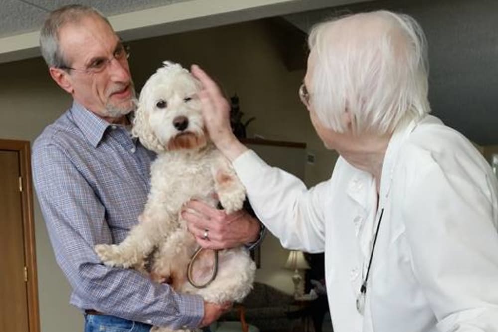 Therapy pets come to visit at Prairie Meadows Senior Living in Kasson, Minnesota.