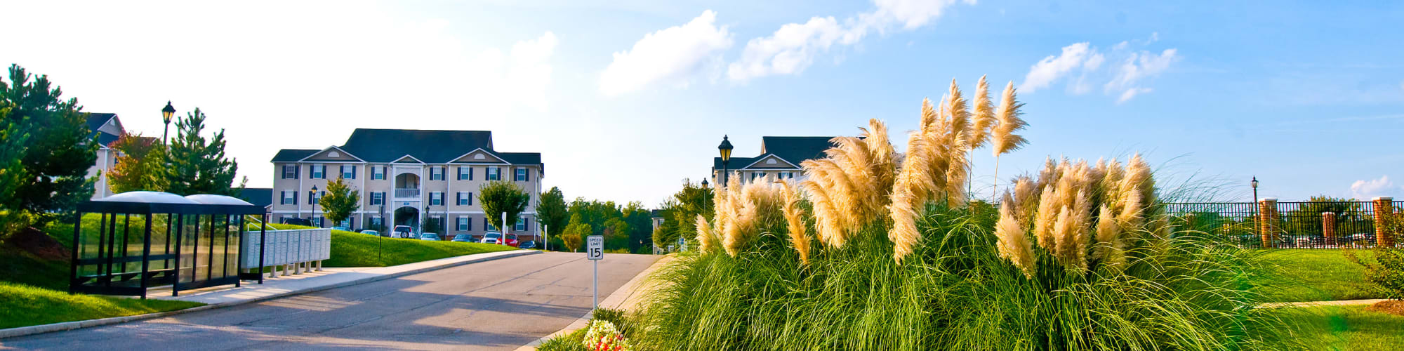 Privacy policy at Sunchase at Longwood in Farmville, Virginia