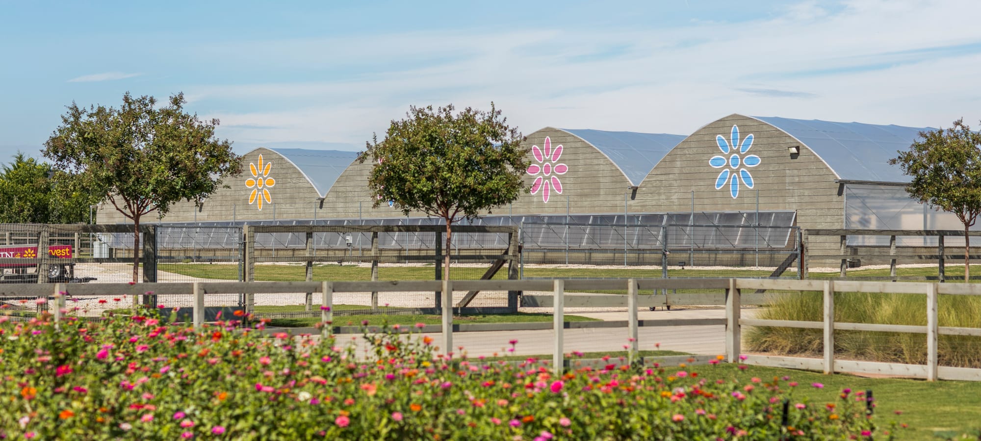 Amenities at BB Living Harvest in Argyle, Texas