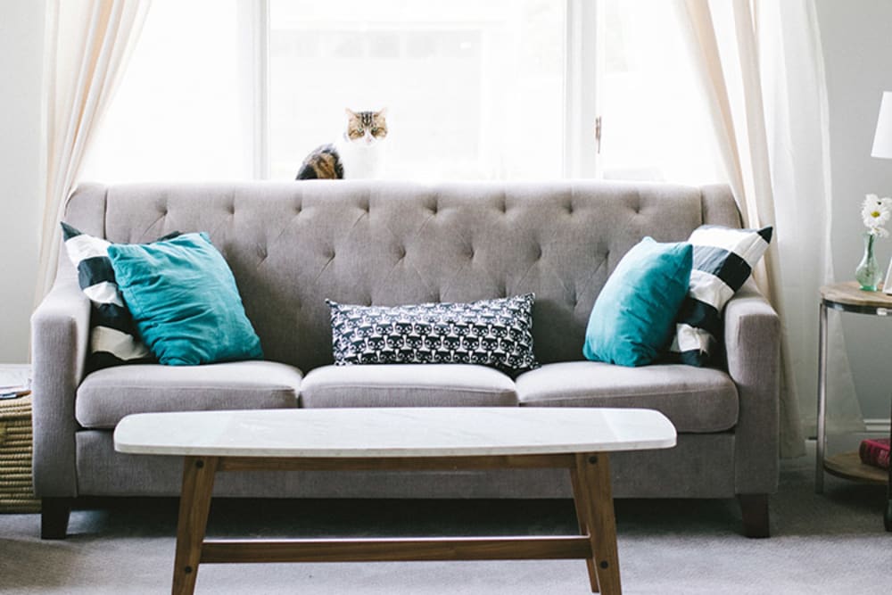 Comfortable couch in Pacific Shores apartment living room