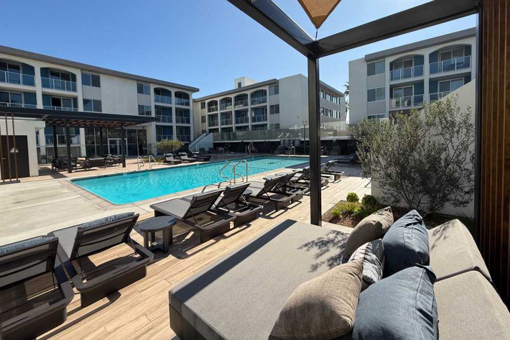 Luxury swimming pool with lounge chairs and greenery at Dolphin Marina Apartments in Marina Del Rey, California
