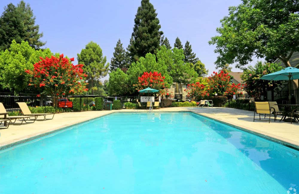 Swimming pool with surrounded by trees at  River Terrace in Sacramento, California