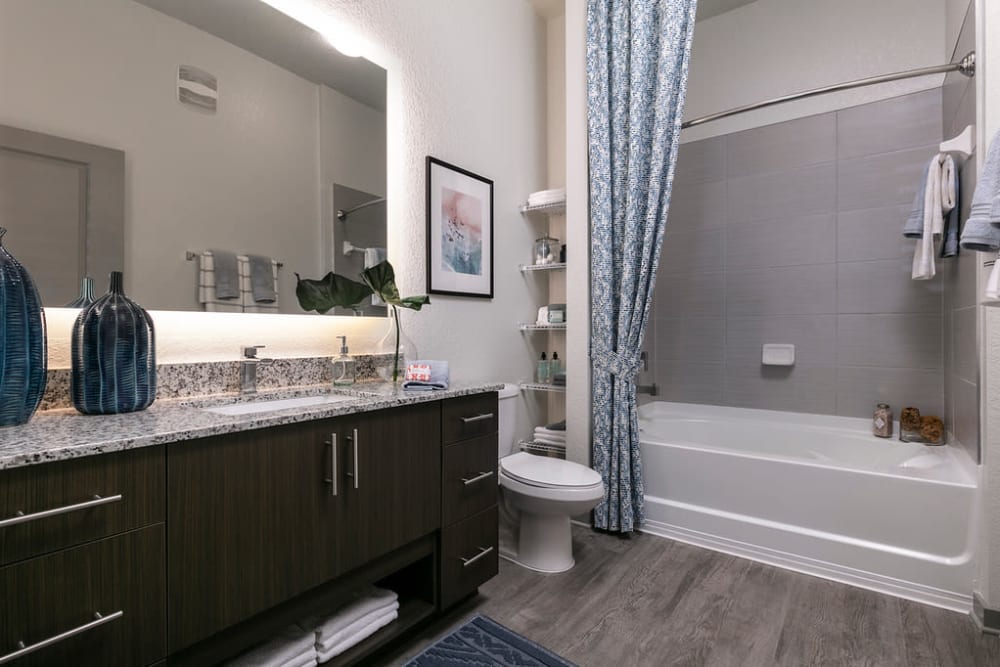 Bathroom at Integra Crossings in Sanford, Florida