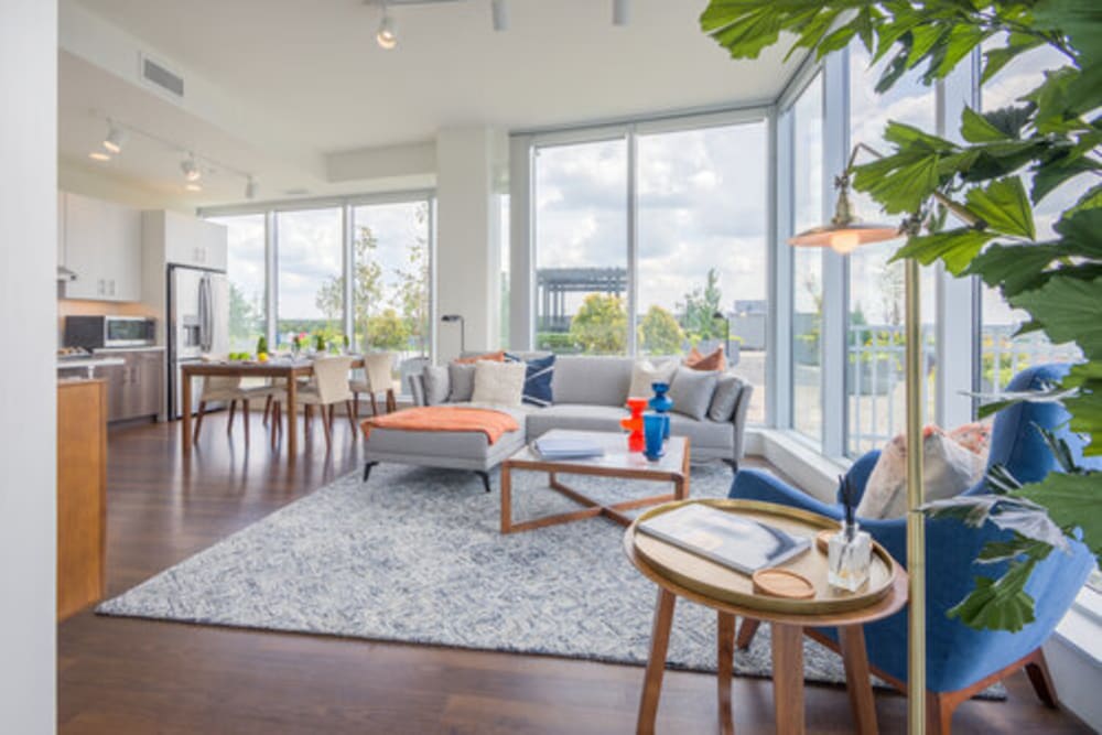 Spacious living area of a beautiful modern apartment at One City Center in Durham, North Carolina