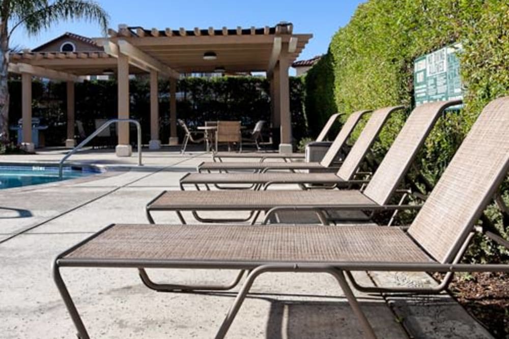 Lounge chairs by the pool at Bella Rose in Antioch, California