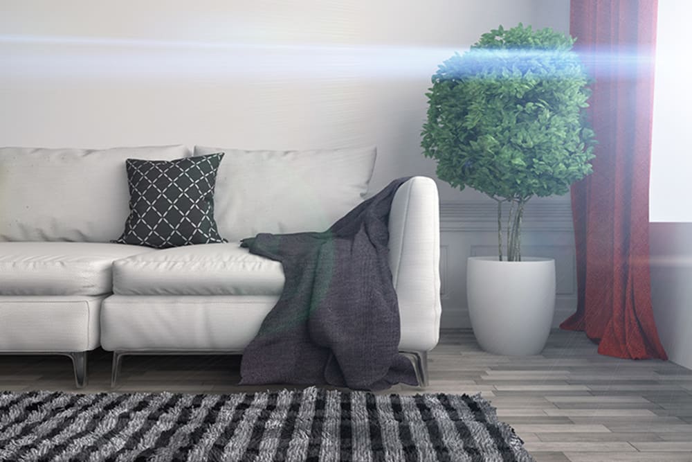 Well-decorated living room at luxury apartment in Santa Cruz