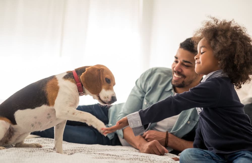 Residents playing with their dog at Montecito in Albuquerque, New Mexico