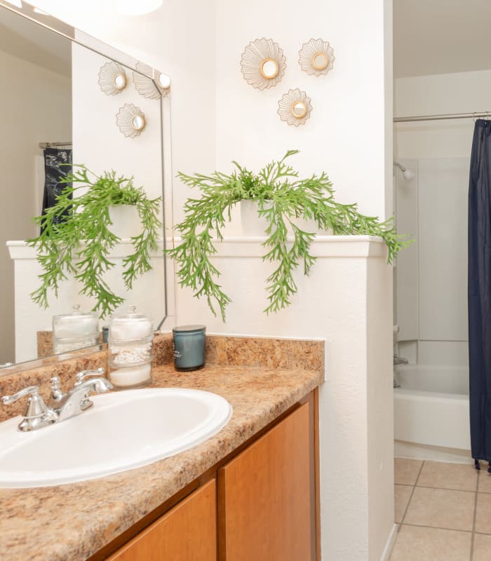 Bathroom at Mountain Village in El Paso, Texas