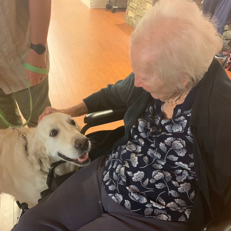 Resident petting a therapy dog at The Foothills Retirement Community in Easley, South Carolina