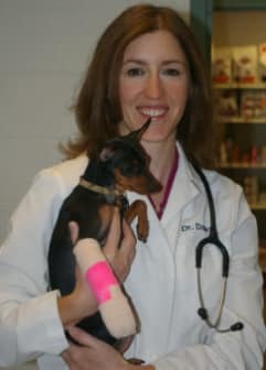 Dr. Brett Wood at Willow Run Veterinary Clinic in Willow Street, Pennsylvania