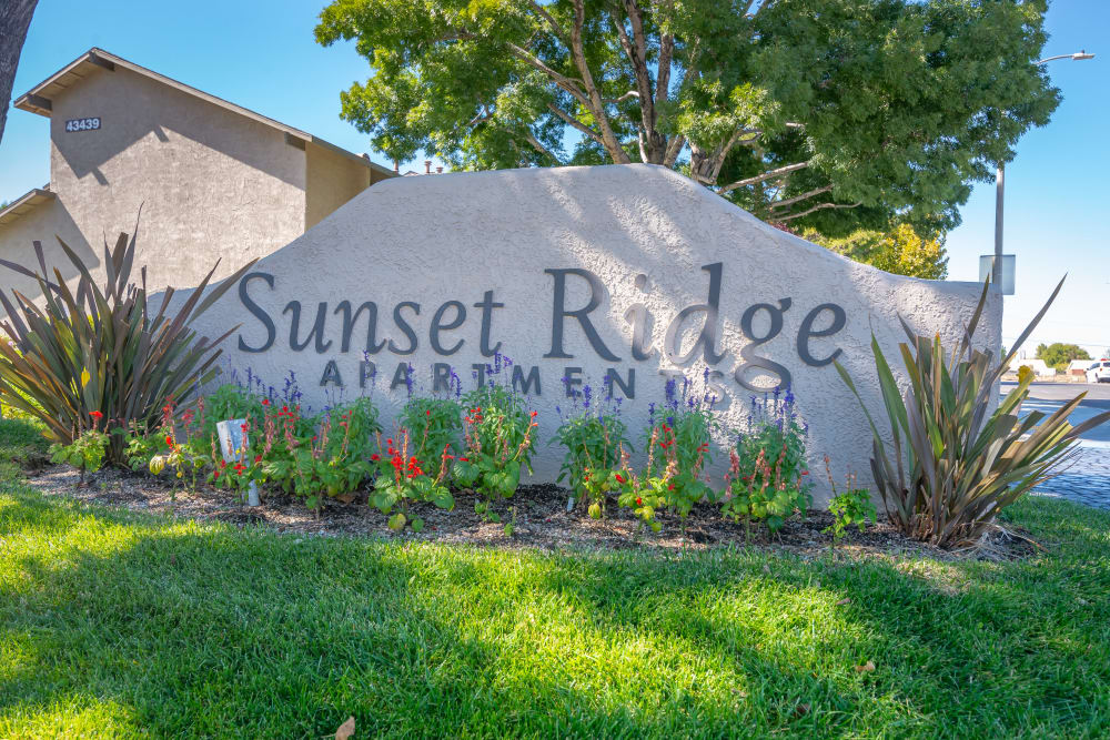 exterior at Sunset Ridge Apartments in Lancaster, California