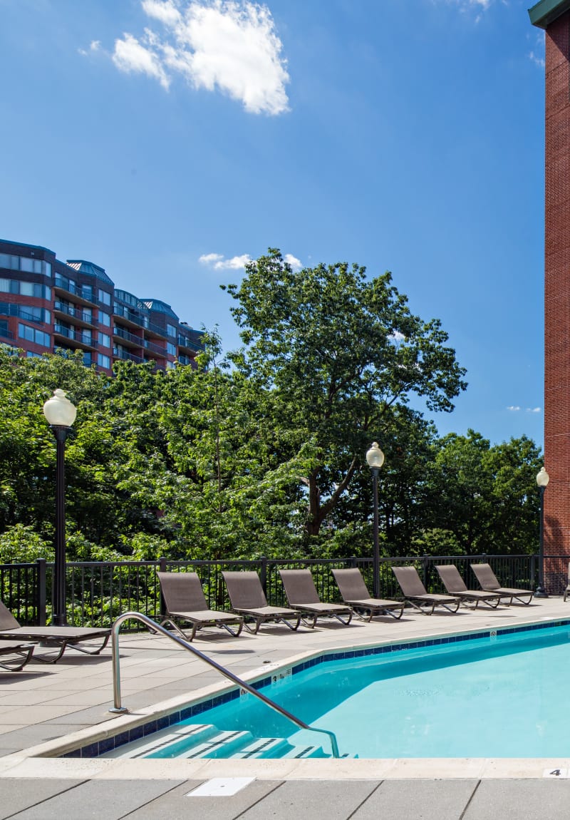 Chaise lounge chairs surrounding the pool at Sofi at 50 Forest in Stamford, Connecticut