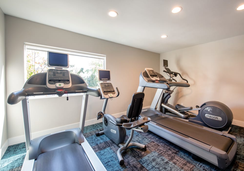 Various cardio machines in the fitness center at Sofi Thousand Oaks in Thousand Oaks, California