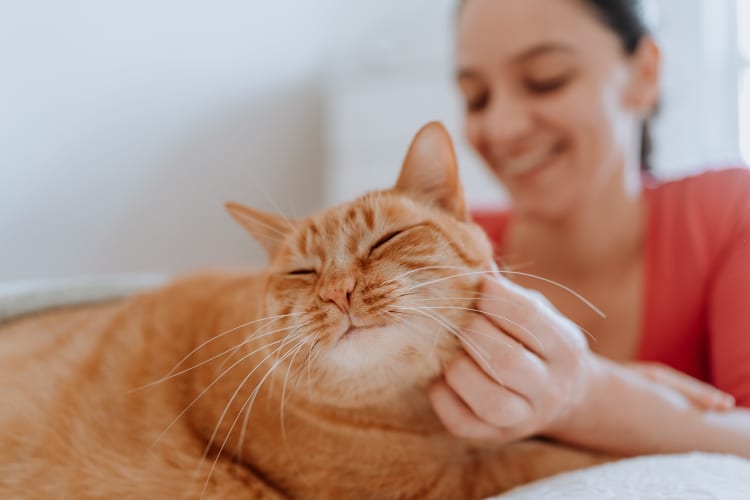 Resident petting her orange tabby at New Barn Apartments in Miami Lakes, Florida