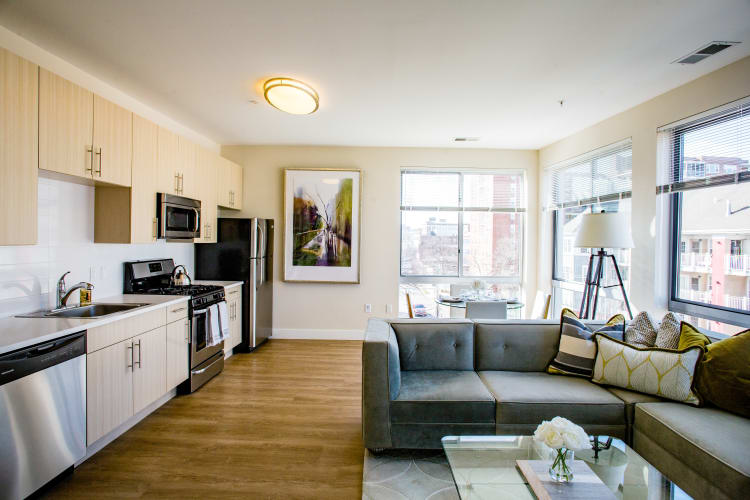 Kitchen, living and dining room at Bedford Hall