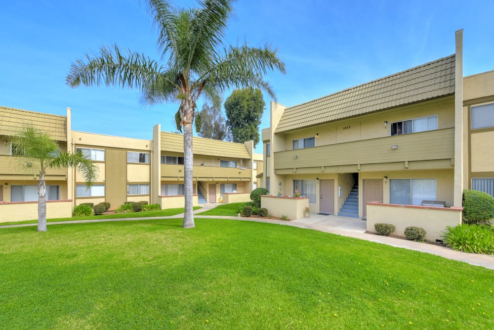 Rendering of apartments and grassy area at Royal Village Apartments in San Diego, California