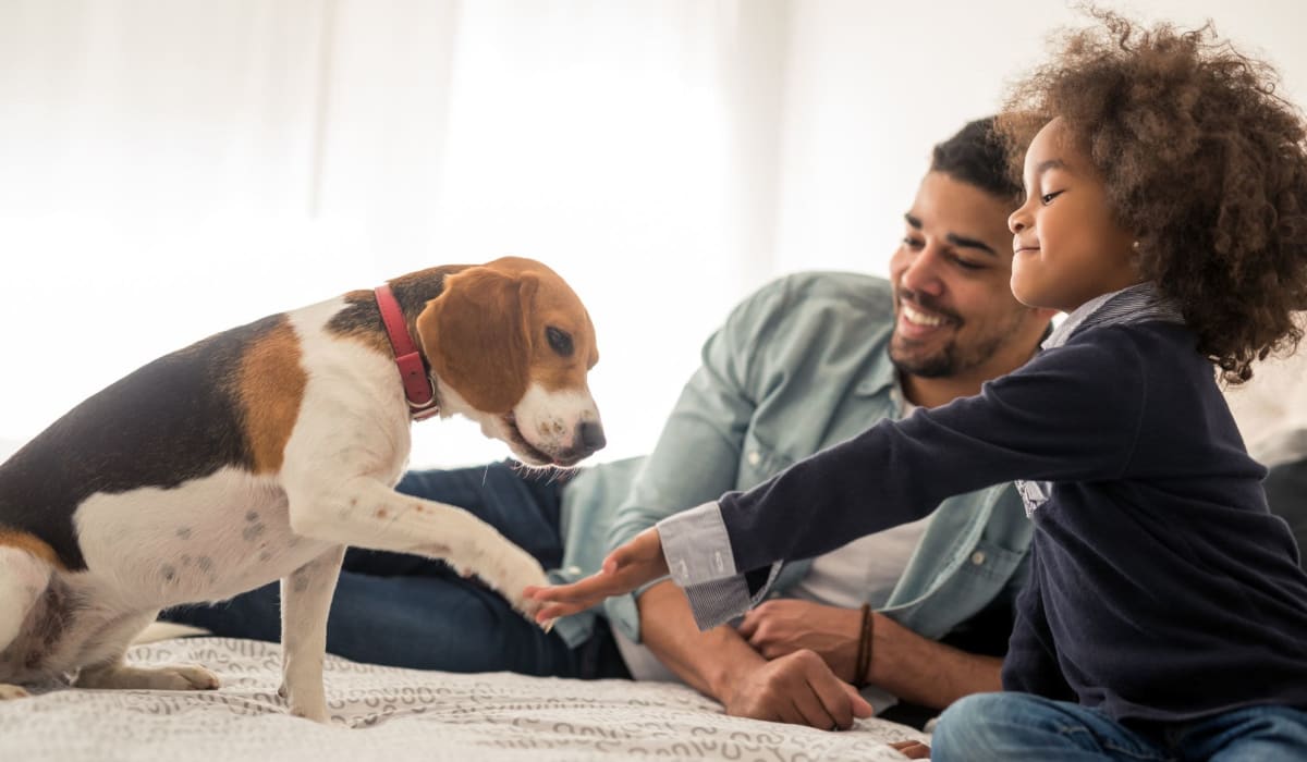 A father and child playing with their dog at Midtown Manor and Towers in Bryan, Texas