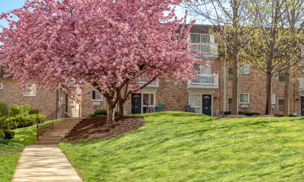 Norristown Pa Apartments For Rent Near Bridgeport Curren