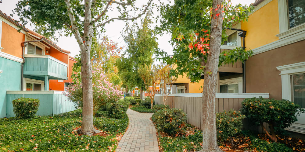Apartment building exterior and walking path at Peppertree Apartments in San Jose, California