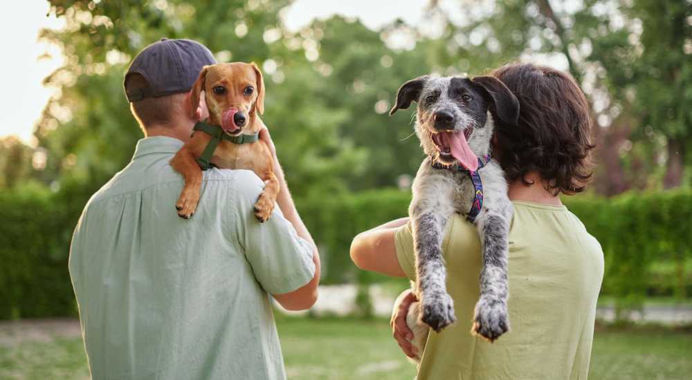 Residents with their pets at Middleborough Station in Middleborough, Massachusetts
