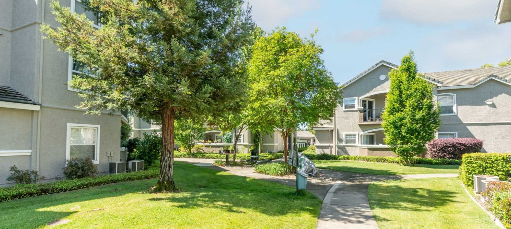 Virtual Tours at Hawthorn Village Apartments in Napa, California