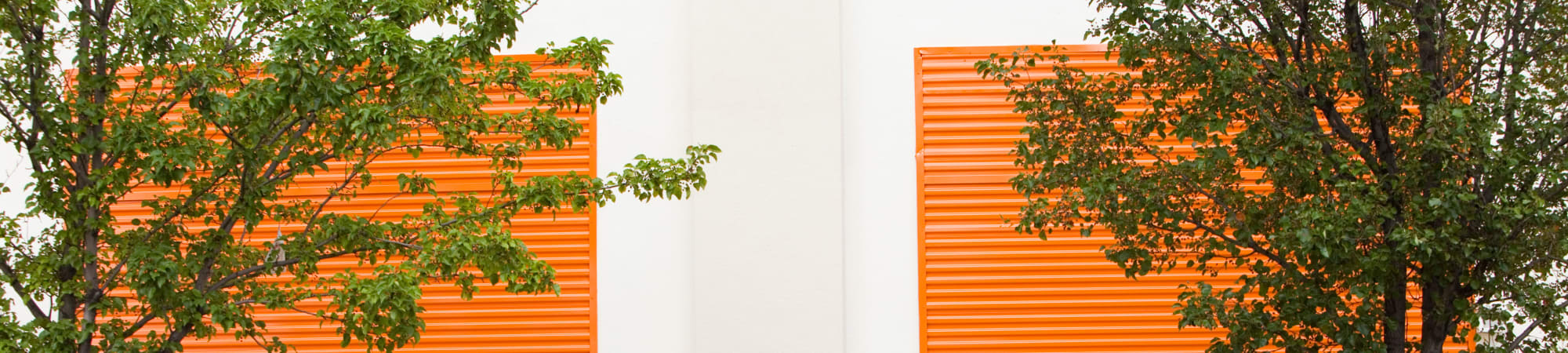 Terms and conditions at BuxBear Storage - Corporate Office in San Francisco, California