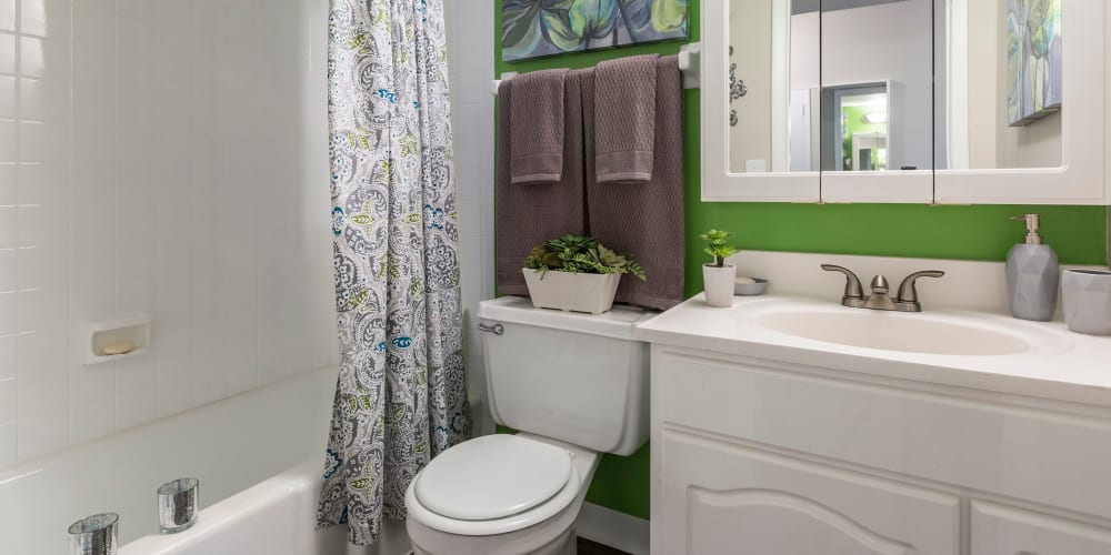Quaint guest bathroom at Enclave at Lake Ellenor in Orlando, Florida